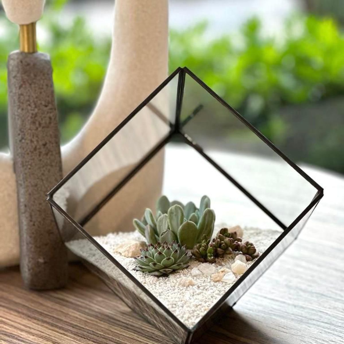 BIOPHILIA - Terrario tropical Geometric Cube