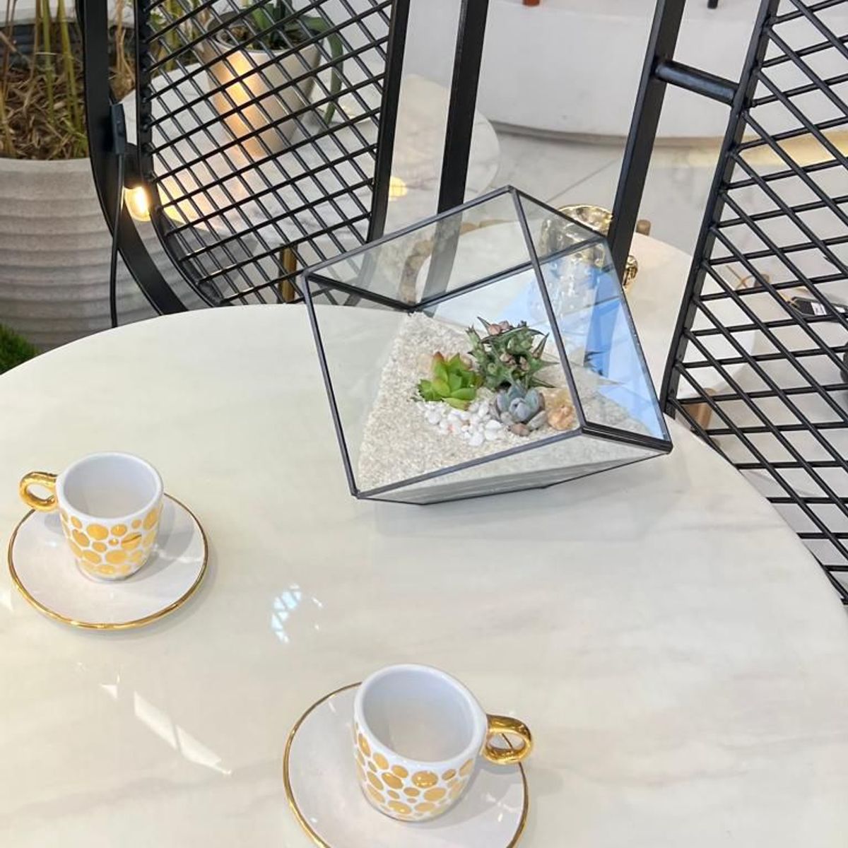 BIOPHILIA - Terrario tropical Geometric Cube