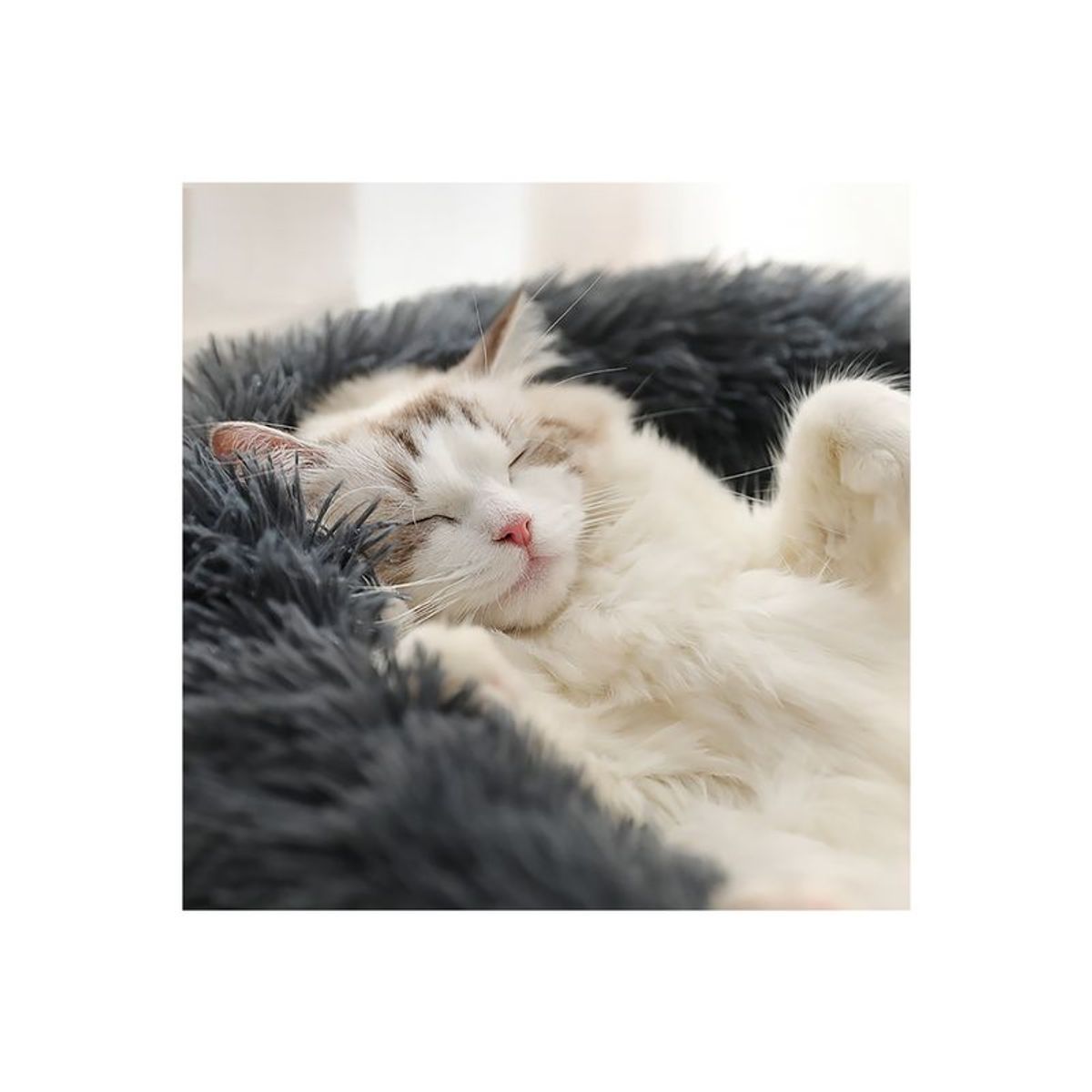 QUE PATAS PET SHOP - Cama Donut para Mascota Gris Oscuro Talla S