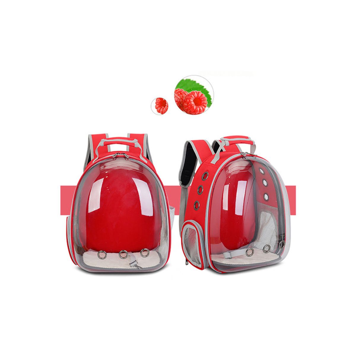 QUE PATAS PET SHOP - Mochila Espacial de Viaje Transparente para Mascotas Rojo