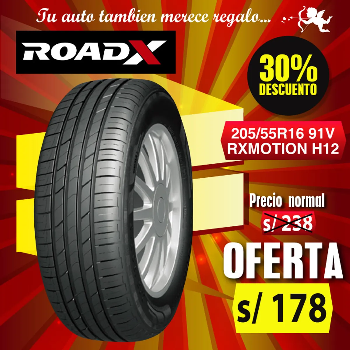 ROADX - Llanta 205/ 55 R16 H12 - 91V