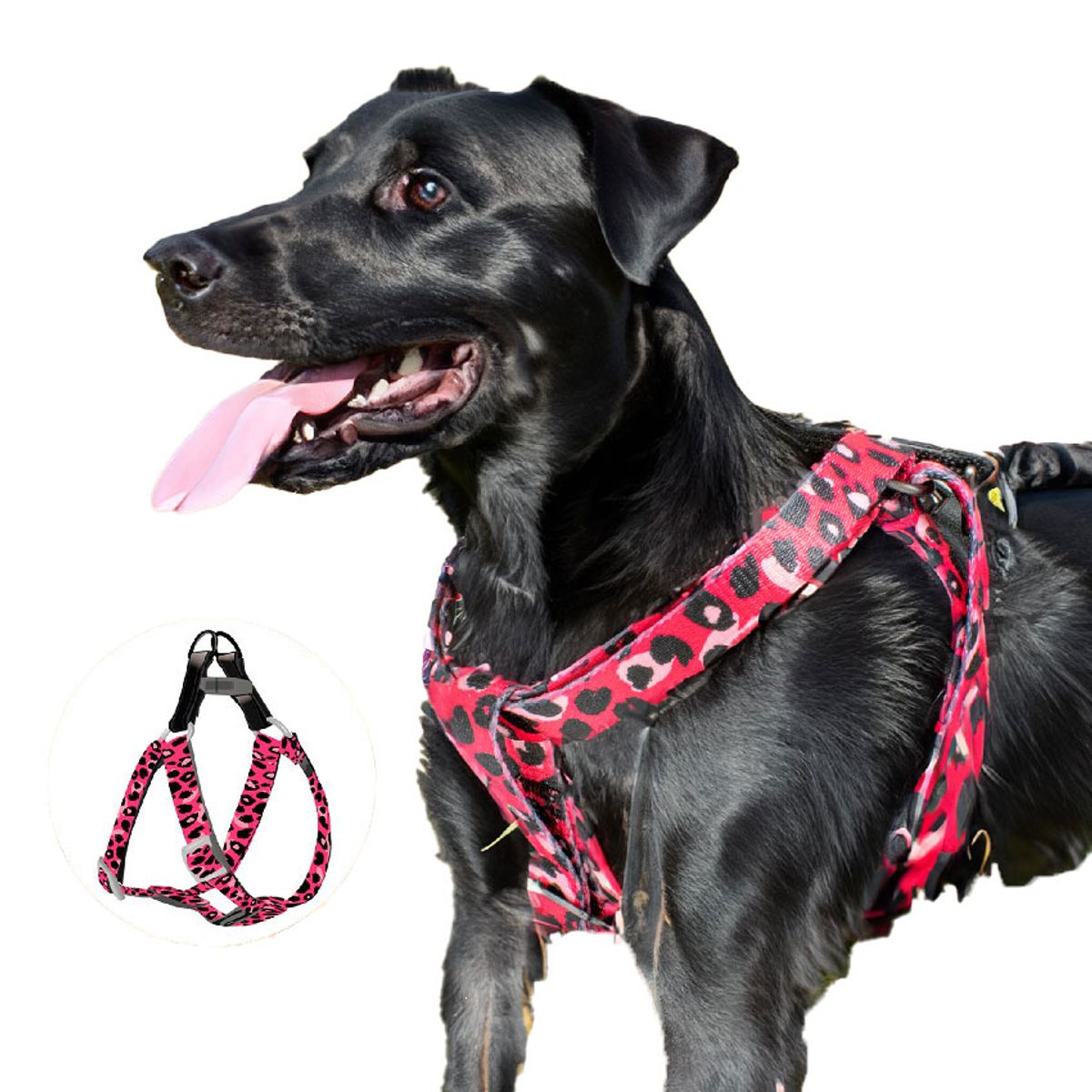 ALL FOR PAWS - Arnes para Perros Afp Leopard - M