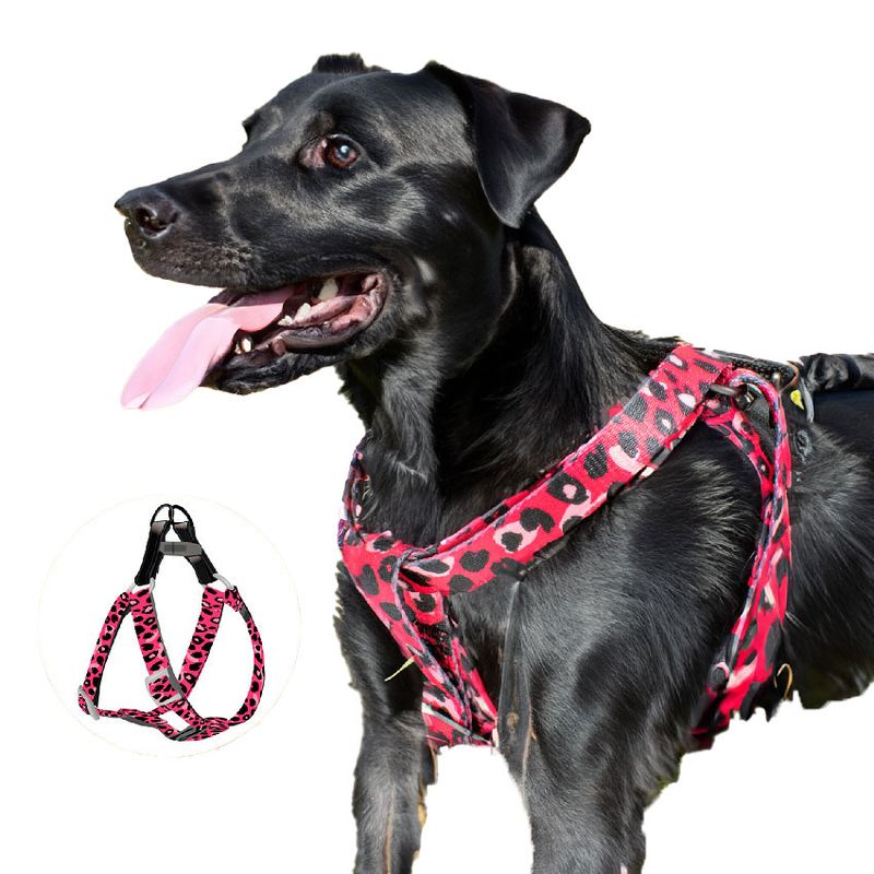 ALL FOR PAWS - Arnés para perros Afp Leopard - S