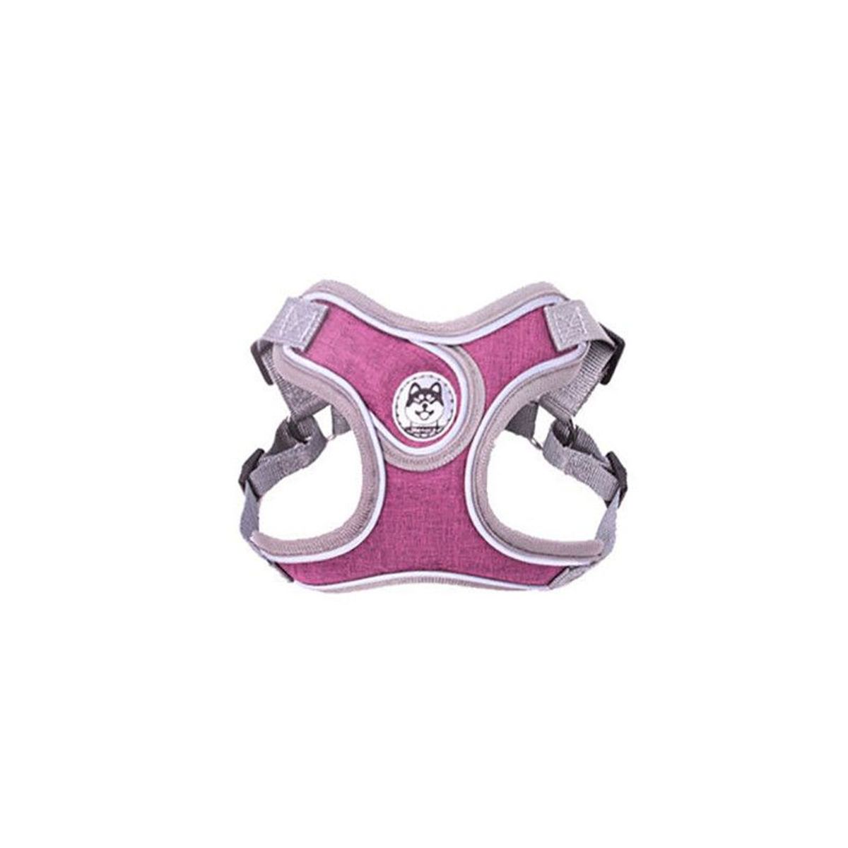 QUE PATAS PET SHOP - Pecheras con Correa Premium Morado XS