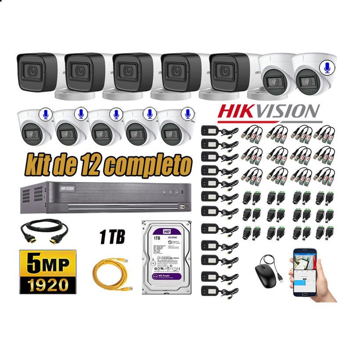HIKVISION - CÁMARAS SEGURIDAD KIT 12 5MP + DISCO WD 1TB - 06 CAMARAS C/AUDIO HDMI