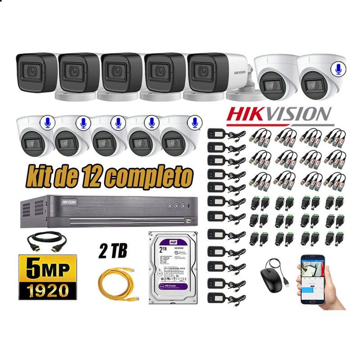 HIKVISION - CÁMARAS SEGURIDAD KIT 12 5MP + DISCO WD 2TB - 06 CAMARAS C/AUDIO HDMI