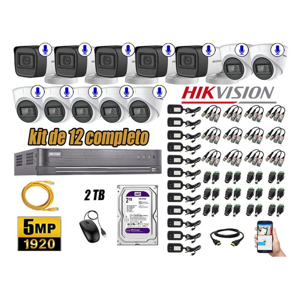 HIKVISION - CÁMARAS SEGURIDAD KIT 12 5MP + DISCO WD 2TB AUDIO INCORPORADO P2P HDMI