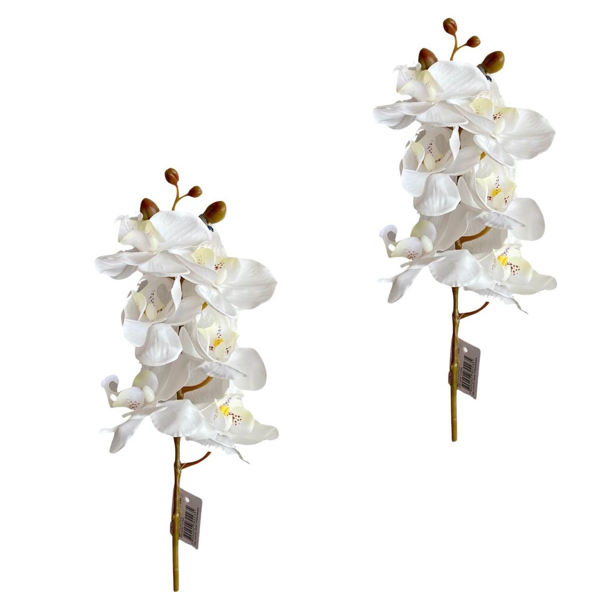 FLORIPA - Vara de orquidea de silicona de 68cm FLORIPASTORE