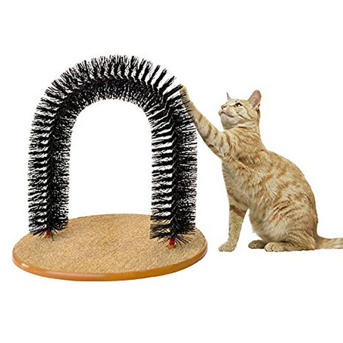 QUE PATAS PET SHOP - Arco Rascador para Gatos