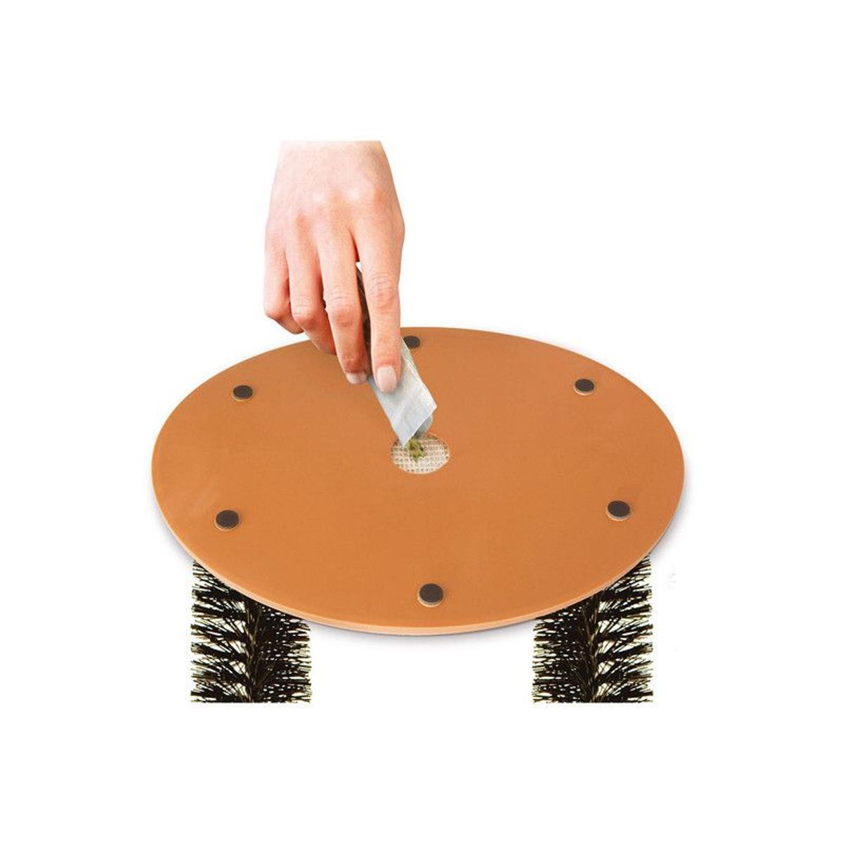 QUE PATAS PET SHOP - Arco Rascador para Gatos