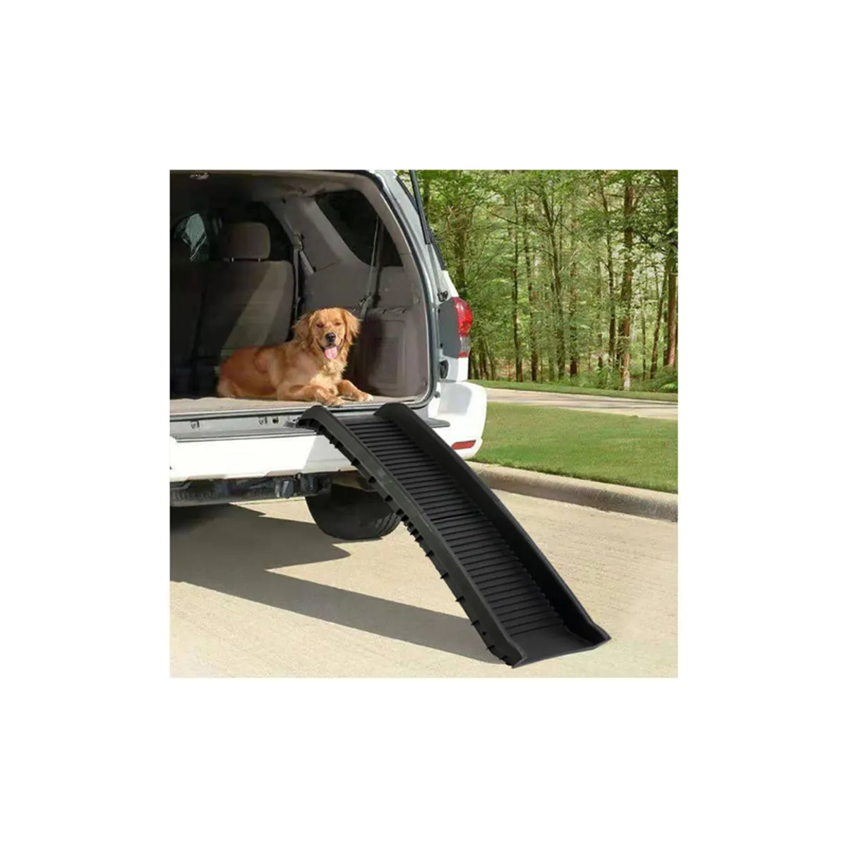 QUE PATAS PET SHOP - Rampa De Plástico Plegable Para Mascotas