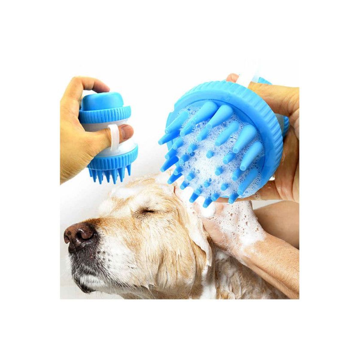 QUE PATAS PET SHOP - Cepillo Dispensador de Shampoo Celeste