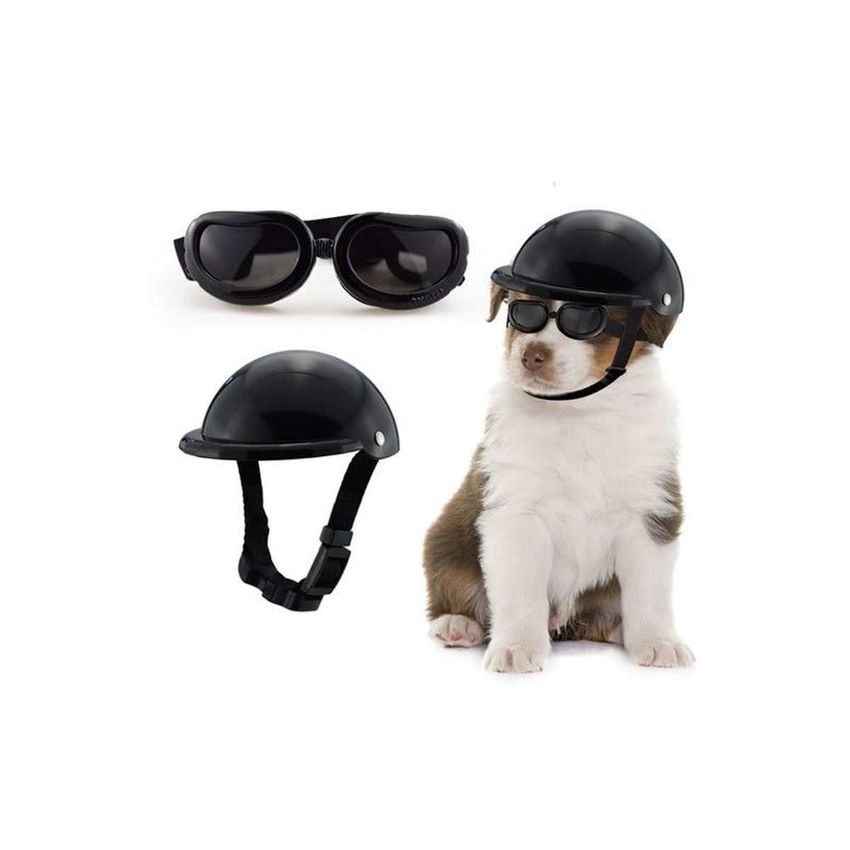 QUE PATAS PET SHOP - Casco con Lentes para Mascotas Negro Talla S