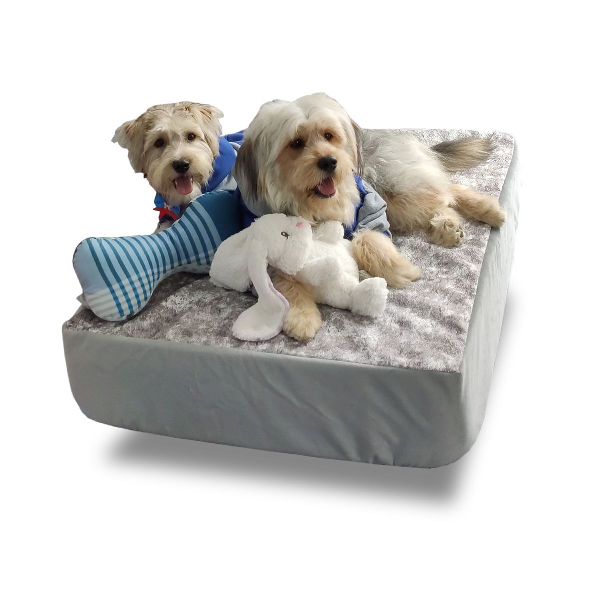 REPOSAR EL DESCANSO IDEAL - Cama para Perro PREMIUM colchón talla M