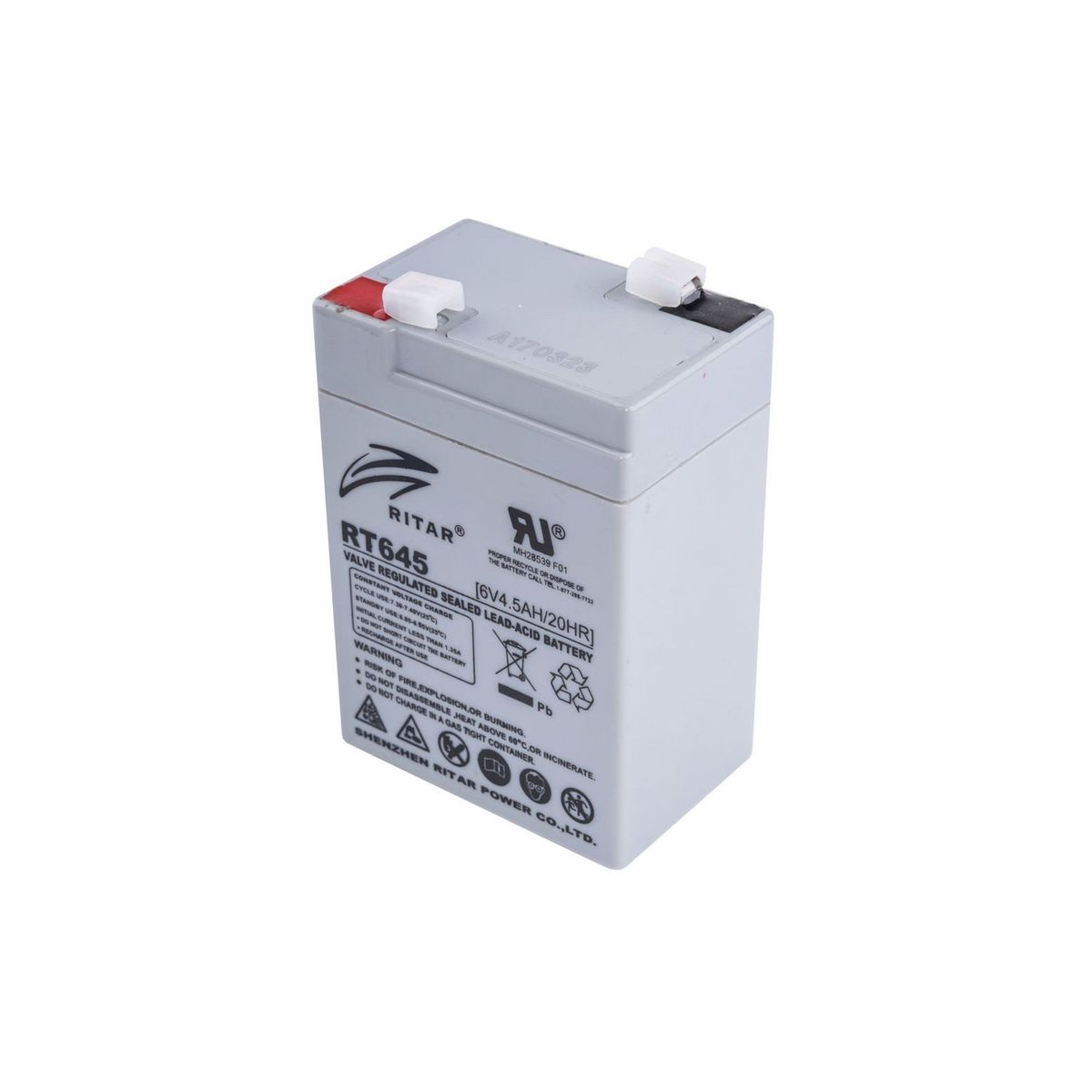 GENERICO - Bateria Recargable 6V 4AH Ritar RT645