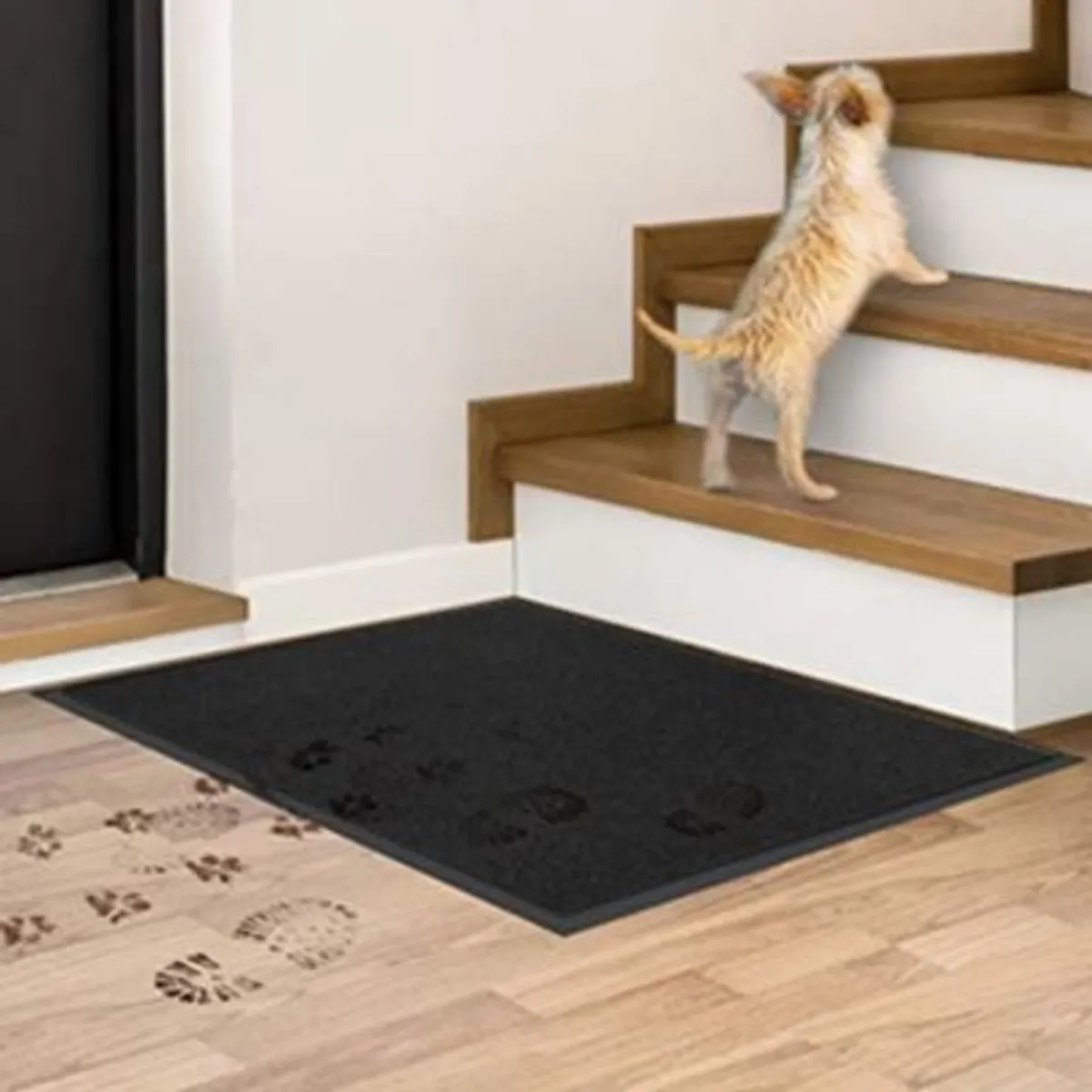 DECORPLAS - Felpudo Special Negro 60X80  Decorplas