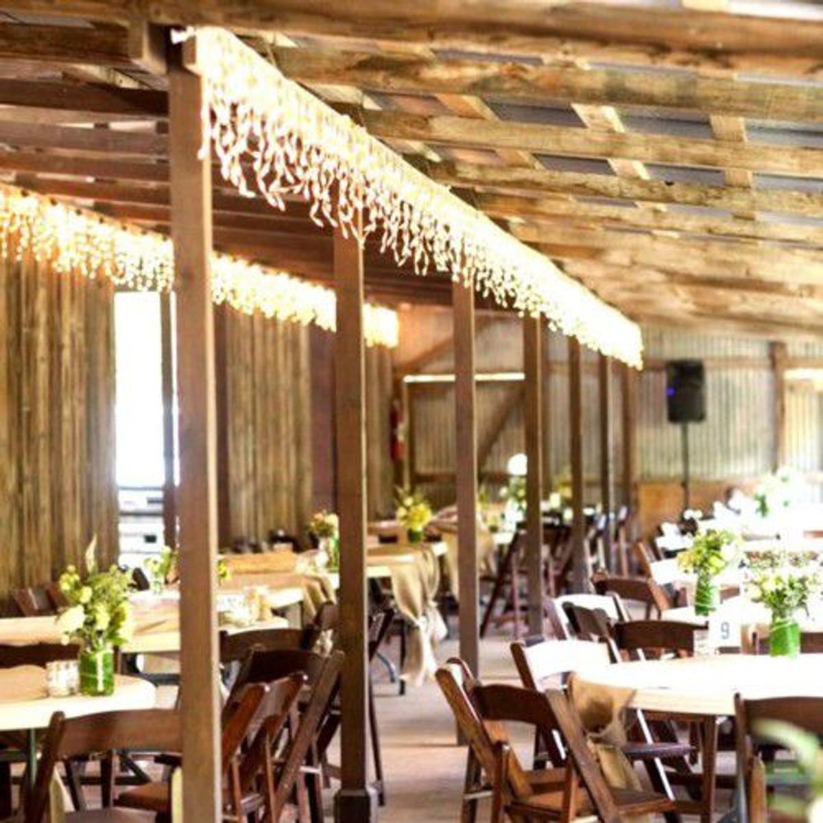 INSPIRA MARKET - Cortina Luces Led  Decoración Navidad Cálida 3m Extensible