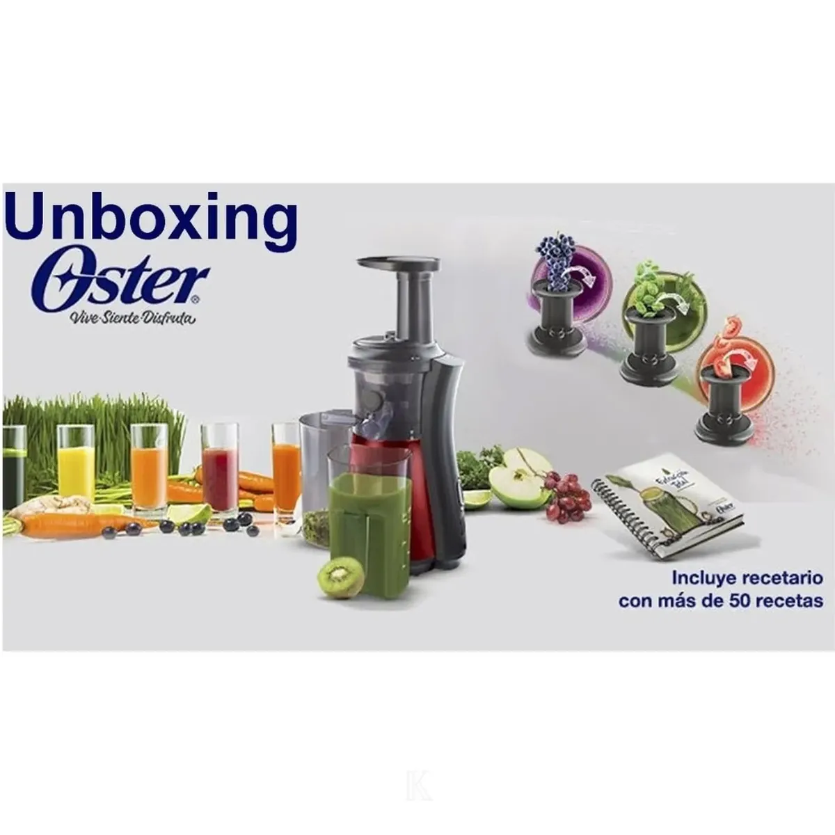 OSTER - Extractor por Prensado FPSTJE4000R 150W