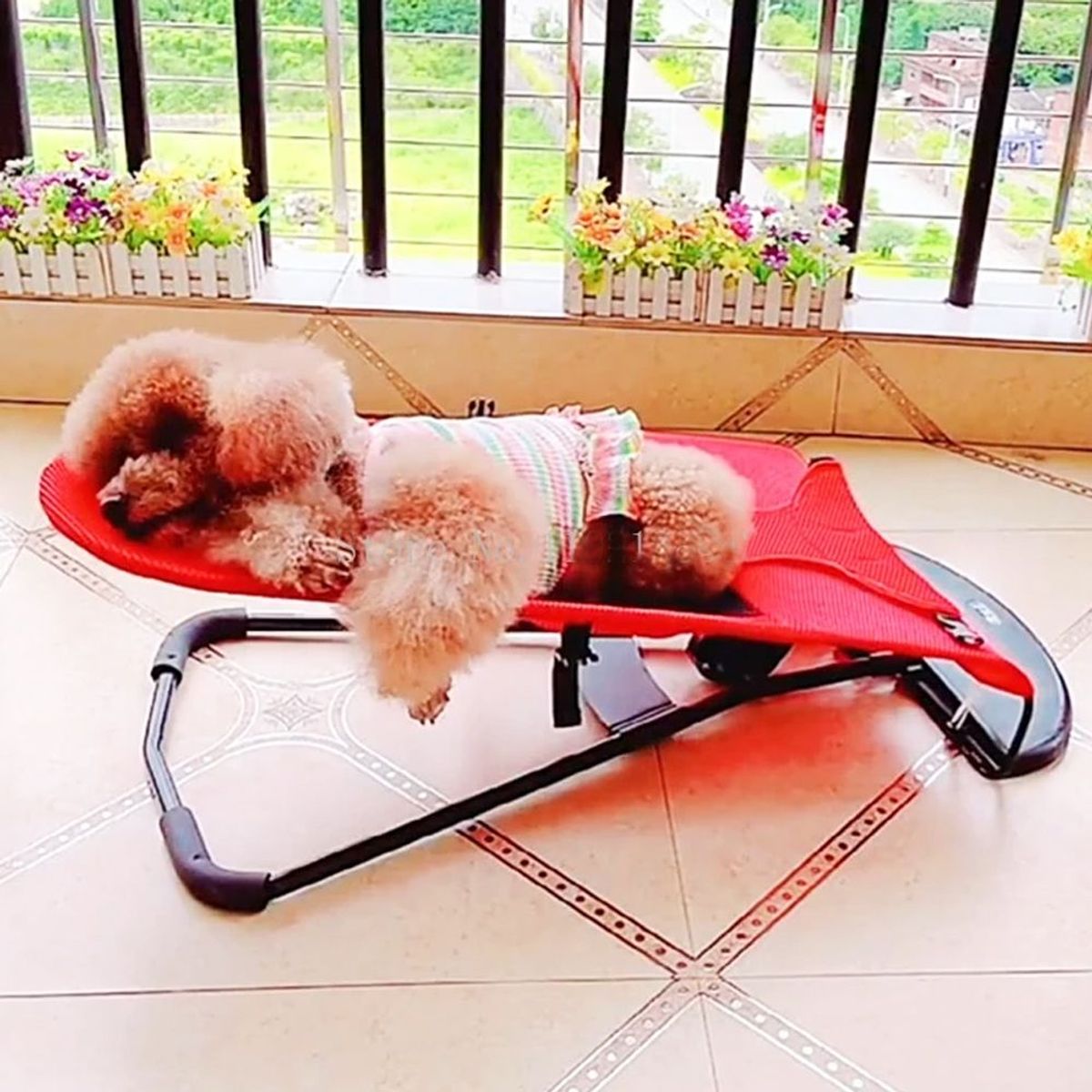 GENERICO - Silla Mecedora cama para Mascotas - Rojo