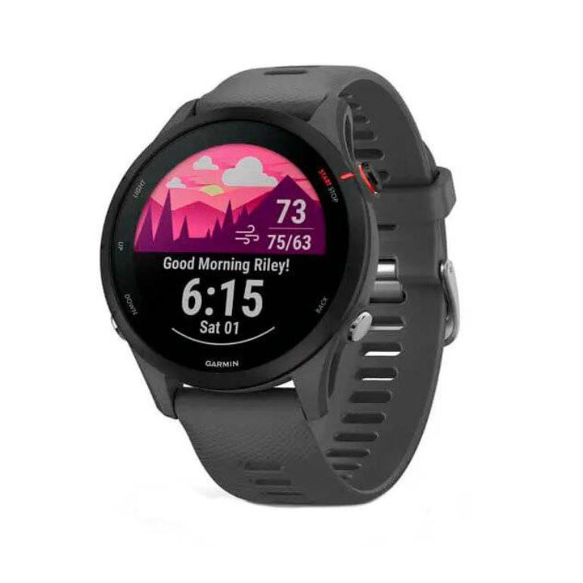 GARMIN - Smartwatch Forerunner 255 Slate Gris Running Deporte GPS Fitness