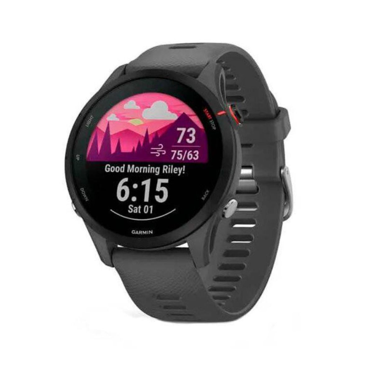 GARMIN - Smartwatch Forerunner 255 Slate Gris Running Deporte GPS Fitness