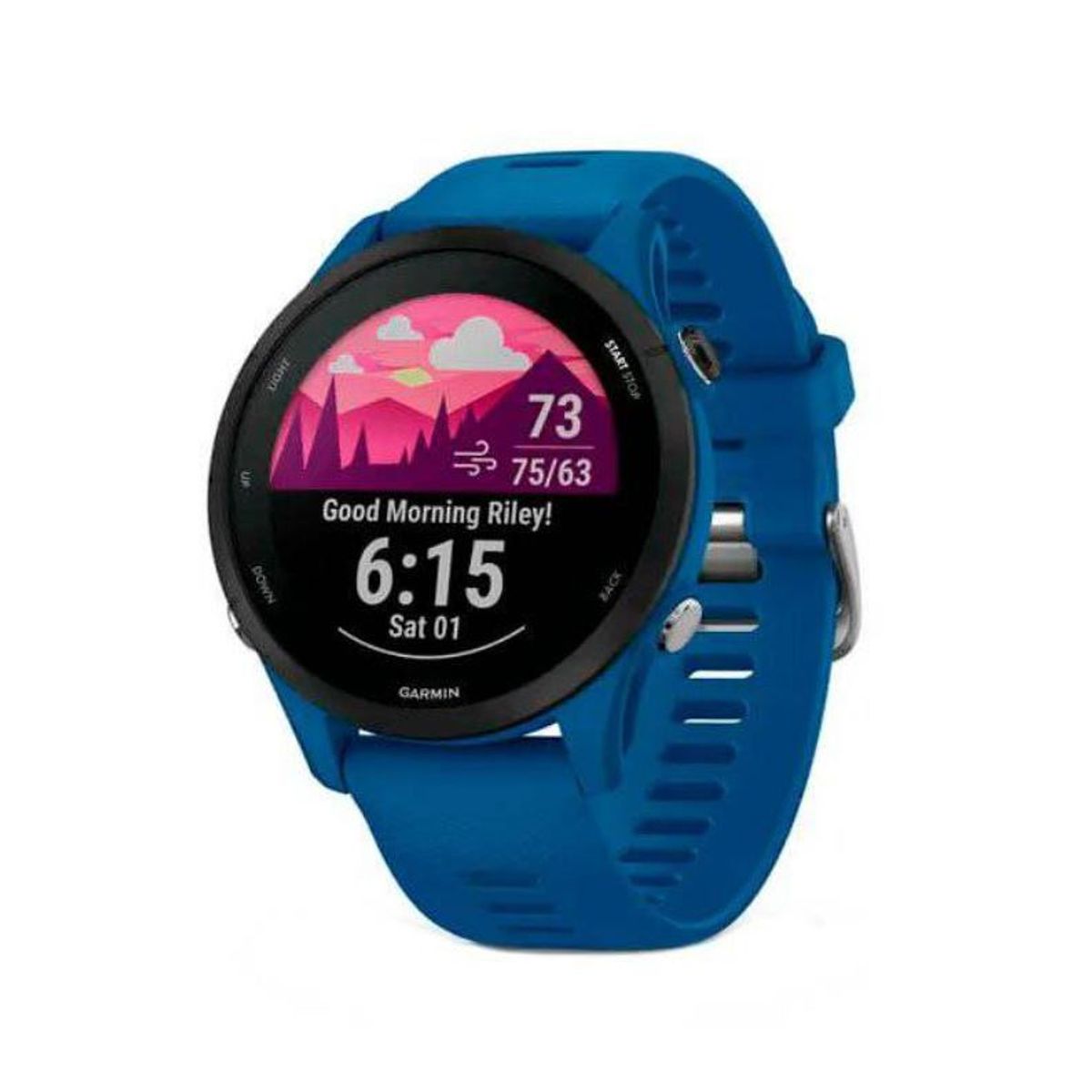 GARMIN - Smartwatch Forerunner 255 Azul Tidal Running Deporte GPS Fitness