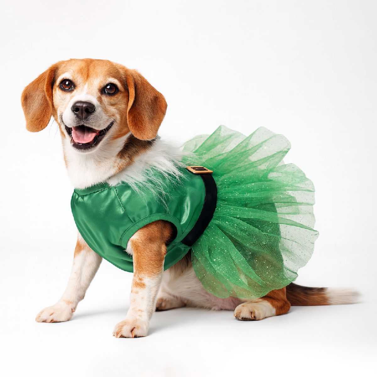 GENERICO - Ropa de Navidad para mascotas - Mamanoela Tutú verde Talla 1