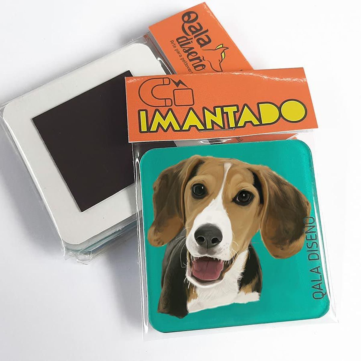 QALA DISEÑO - Imantado de Acrílico - Qala Diseño - Perro Beagle - Magneto 6x6