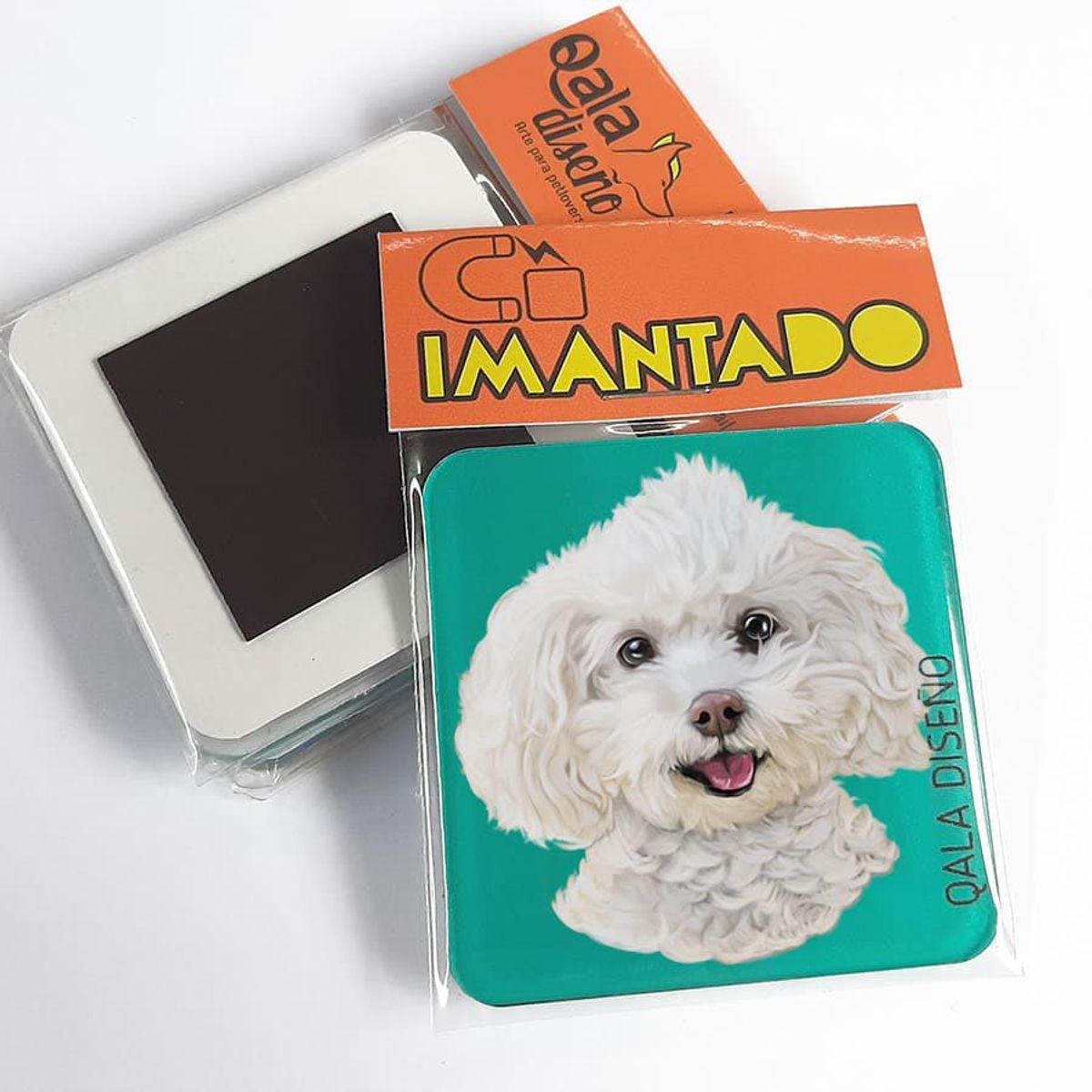 QALA DISEÑO - Imantado de Acrílico - Qala Diseño - Perro Bichón Frisé - Magneto 6x6