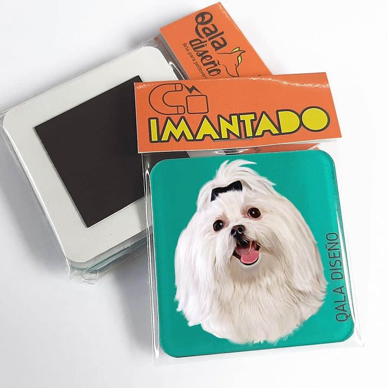 QALA DISEÑO - Imantado de Acrílico - Qala Diseño - Perro Bichón Maltés - Magneto 6x6