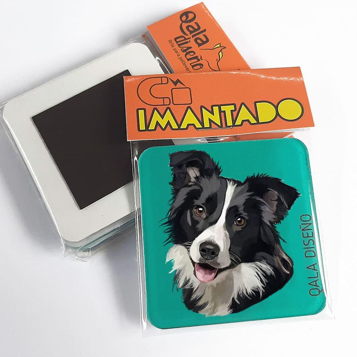 QALA DISEÑO - Imantado de Acrílico - Qala Diseño - Perro Border Collie - Magneto 6x6
