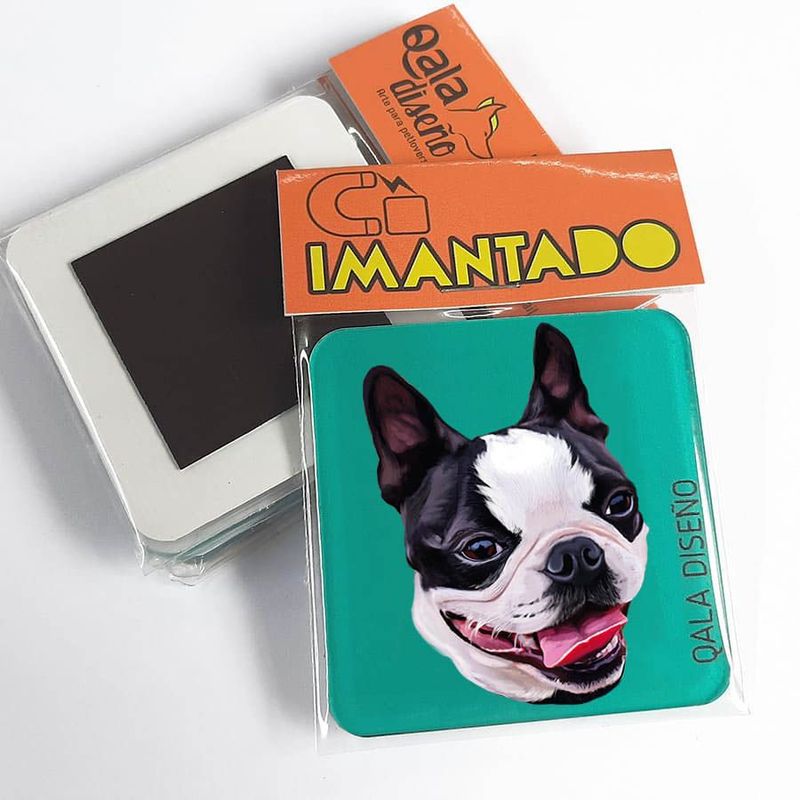 QALA DISEÑO - Imantado de Acrílico - Qala Diseño - Perro Boston - Magneto 6x6