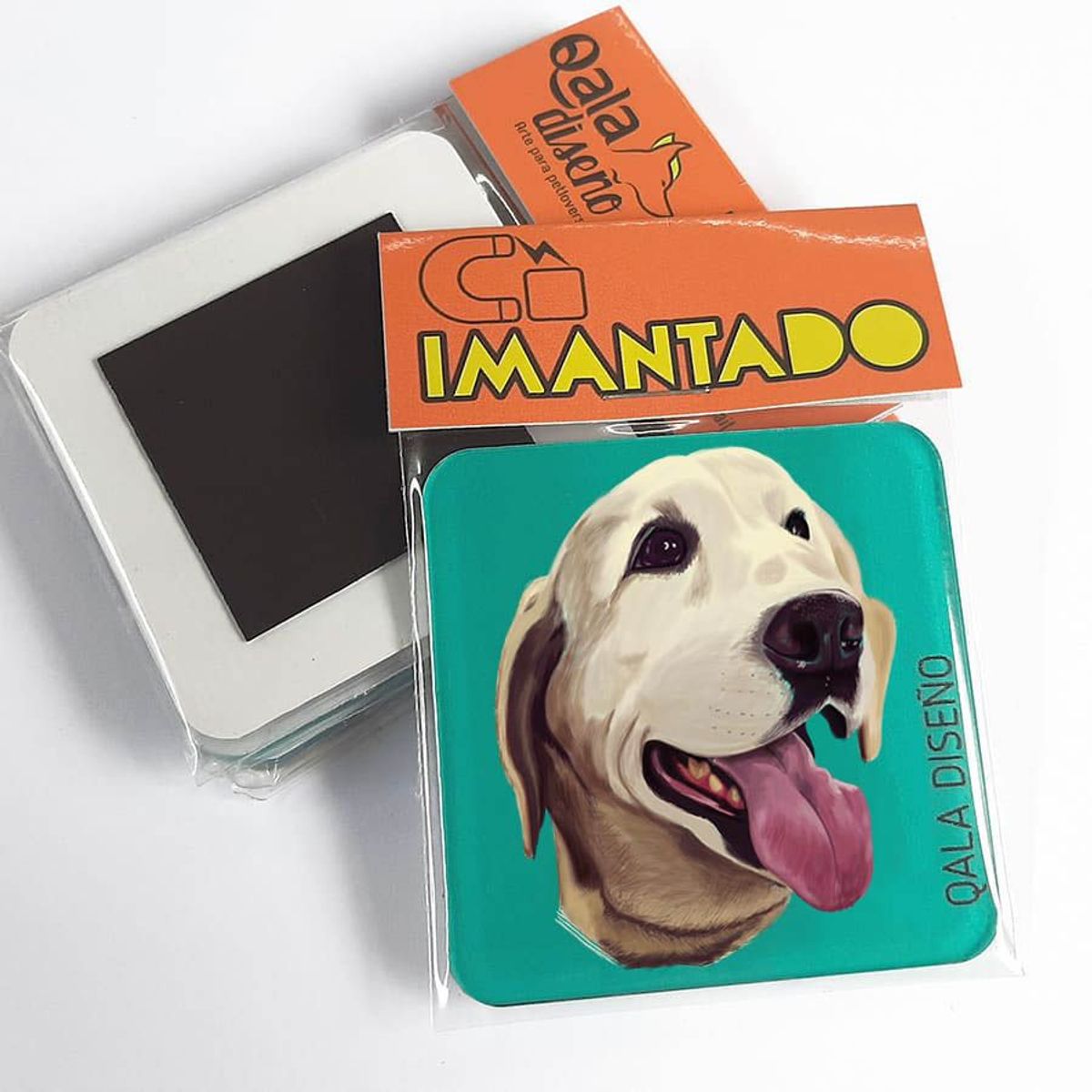 QALA DISEÑO - Imantado de Acrílico - Qala Diseño - Perro Labrador H - Magneto 6x6