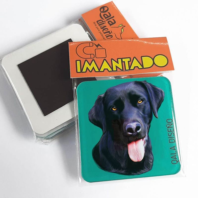 QALA DISEÑO - Imantado de Acrílico - Qala Diseño - Perro Labrador N - Magneto 6x6