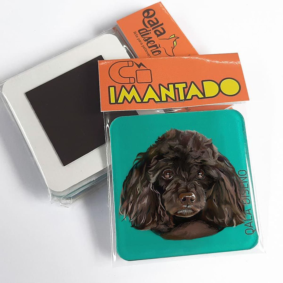 QALA DISEÑO - Imantado de Acrílico - Qala Diseño - Perro Poodle N - Magneto 6x6