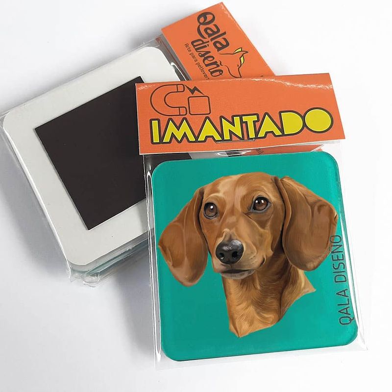 QALA DISEÑO - Imantado de Acrílico - Qala Diseño - Perro Salchicha M - Magneto 6x6