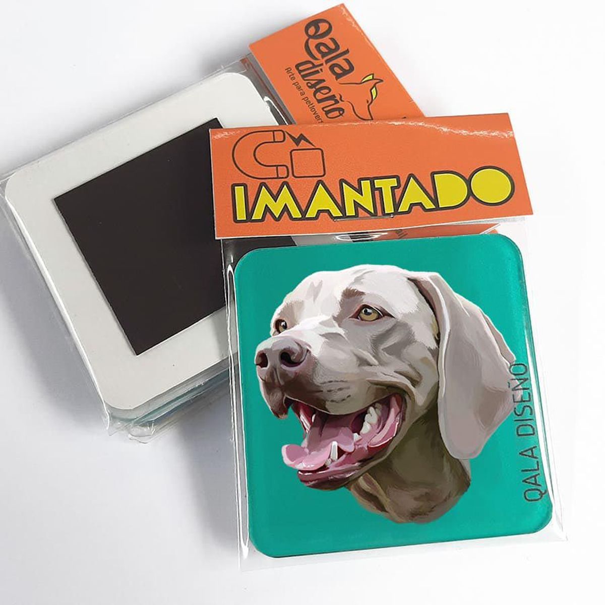 QALA DISEÑO - Imantado de Acrílico - Qala Diseño - Perro Weimaraner - Magneto 6x6