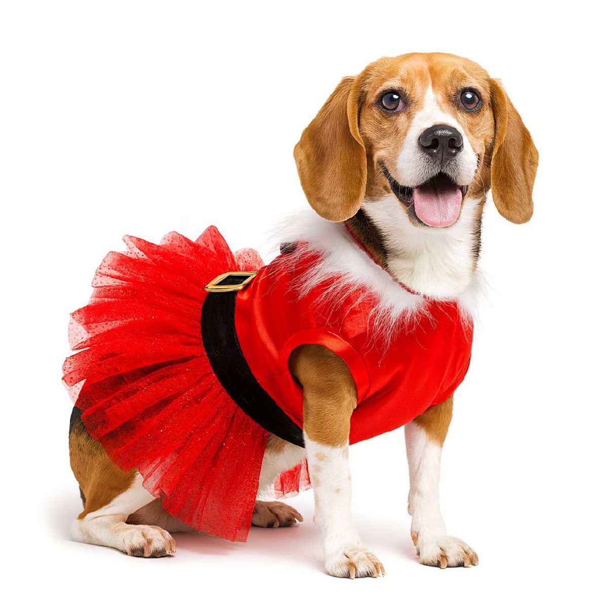 GENERICO - Ropa de Navidad para mascotas - Mamanoela Tutú rojo Talla 4