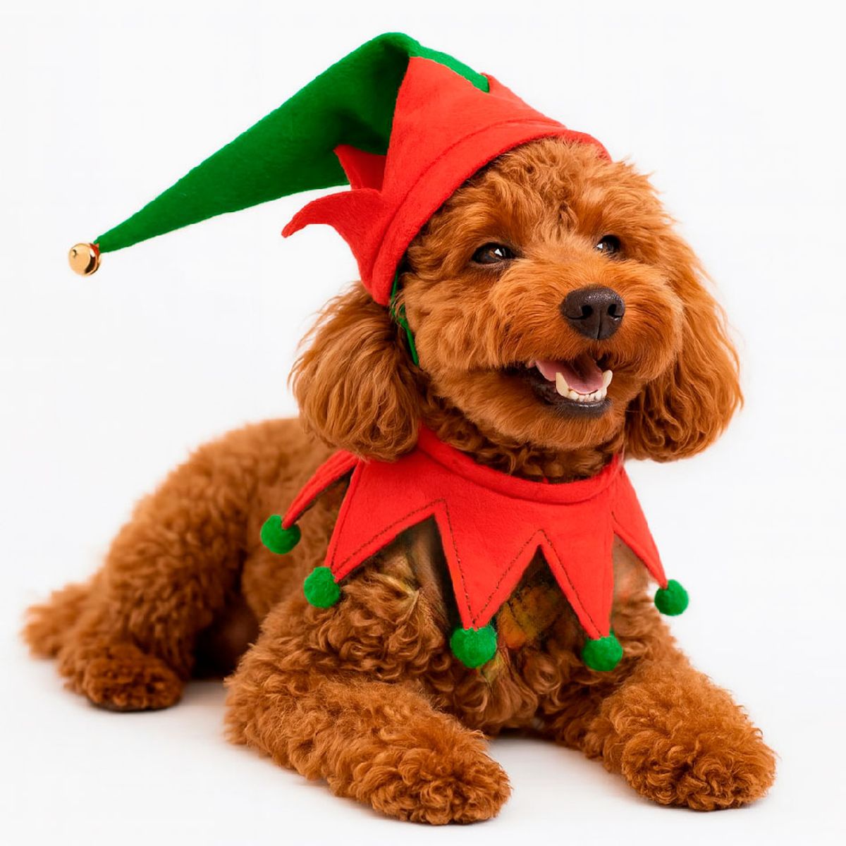 GENERICO - Ropa de Navidad para mascotas - Pequeño duende Navideño M