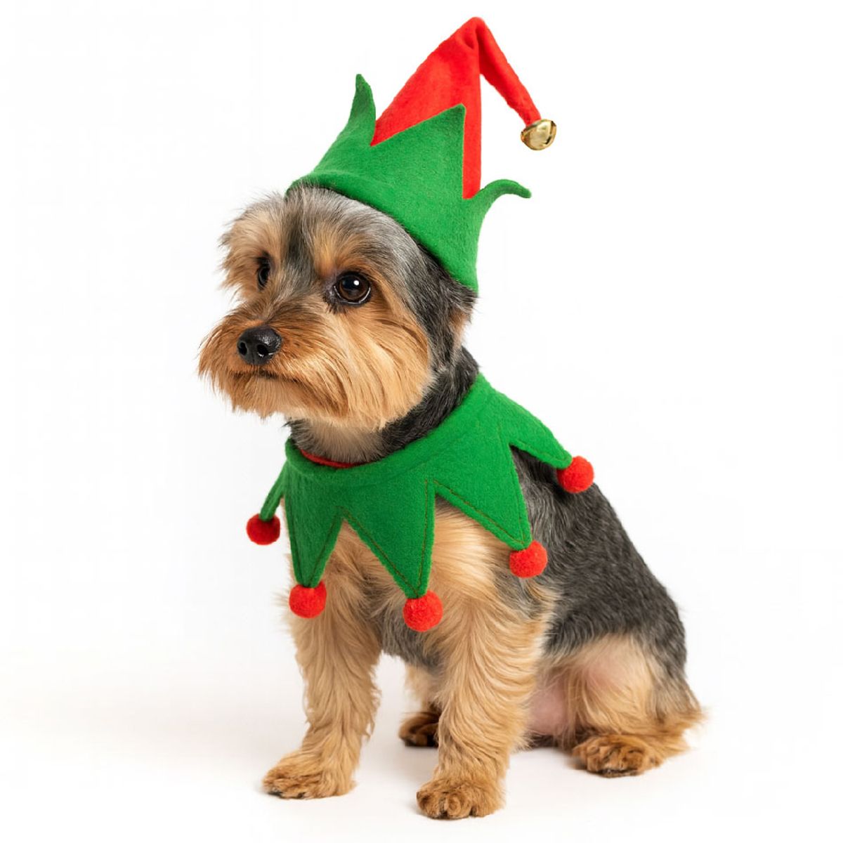 GENERICO - Ropa de Navidad para mascotas - Pack lindo Elfo -Talla XS