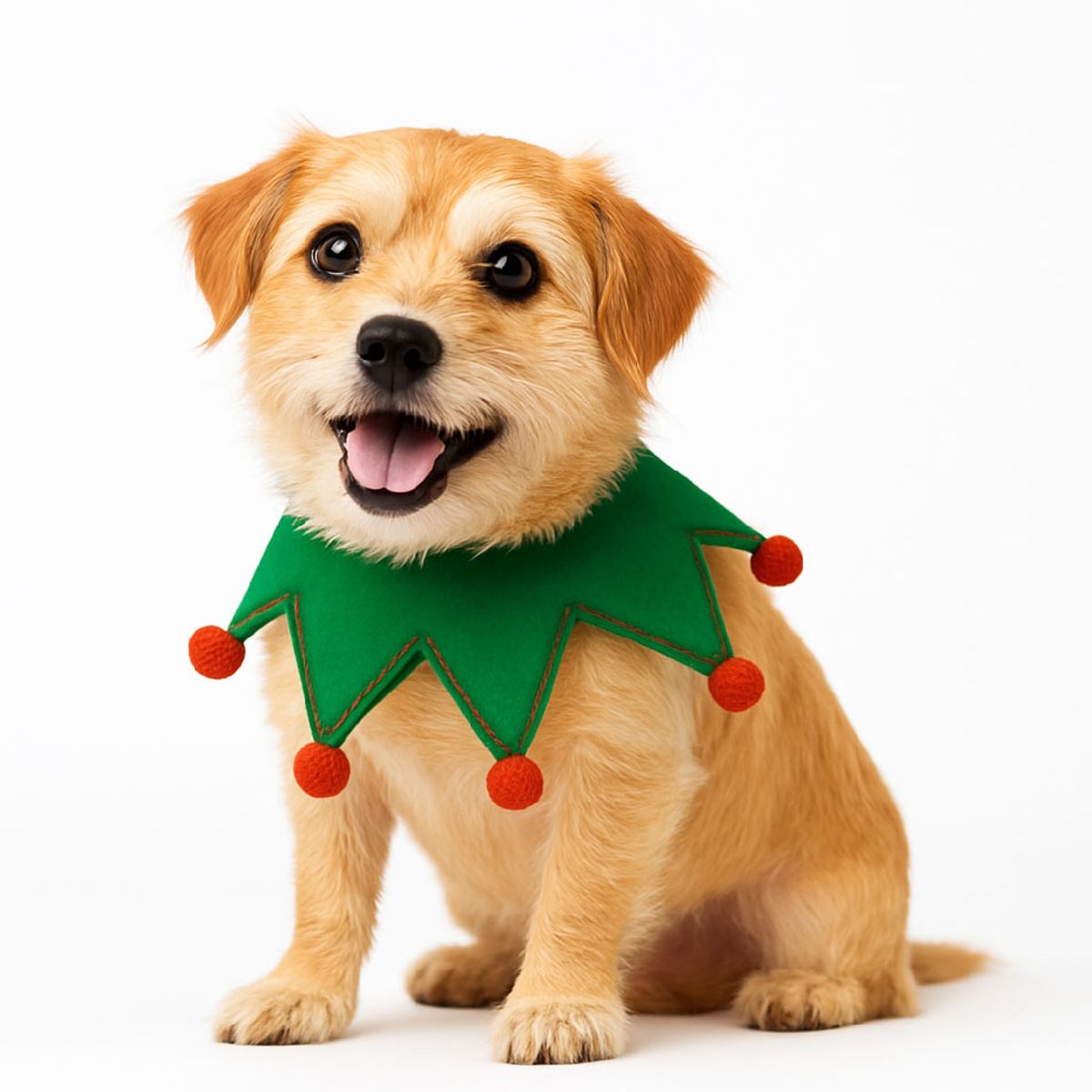 GENERICO - Ropa de Navidad para mascotas - Duendecillo feliz Verde - Talla S