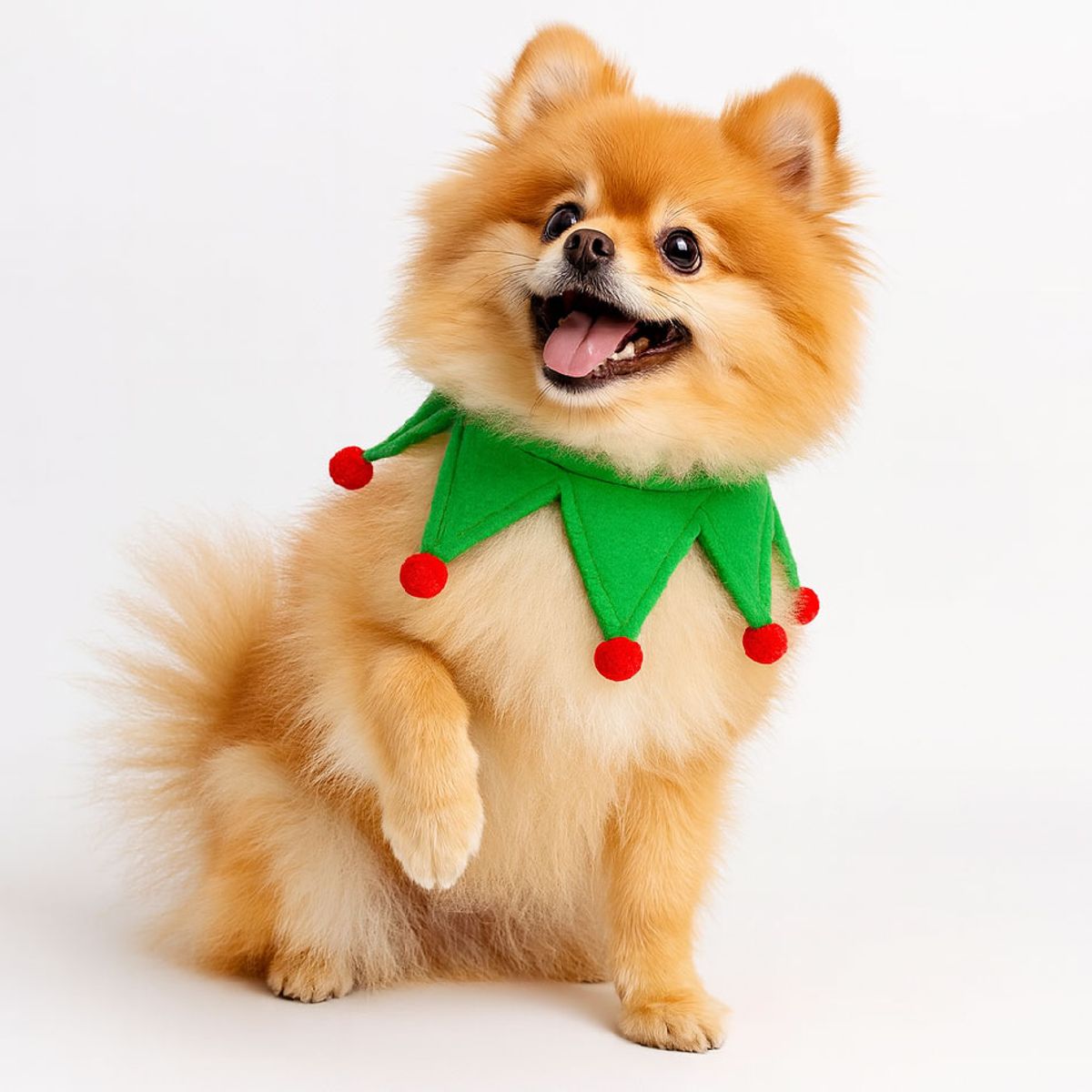 GENERICO - Ropa de Navidad para mascotas - Duendecillo feliz Verde - Talla S