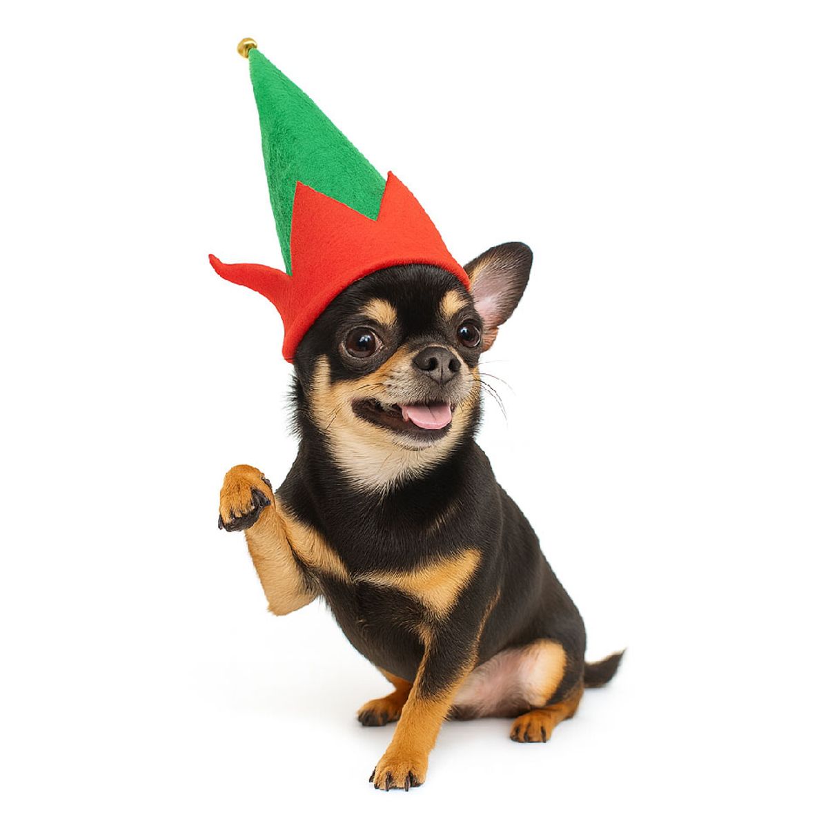 GENERICO - Ropa de Navidad para mascotas - Gorrita Arlequín verde L