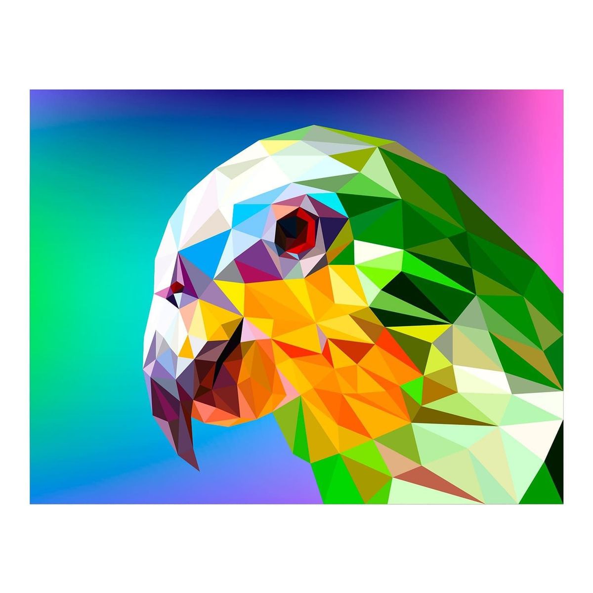 MAKA - DIAMOND PAINTING CRISTAL HAWK 40x50 CM MAKA
