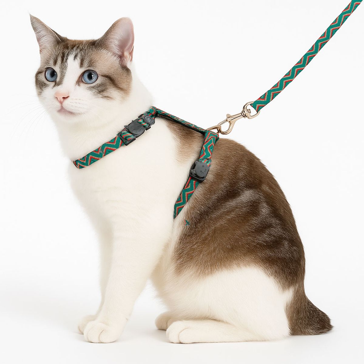 ALL FOR PAWS - Arnes para gatos - Zigzag