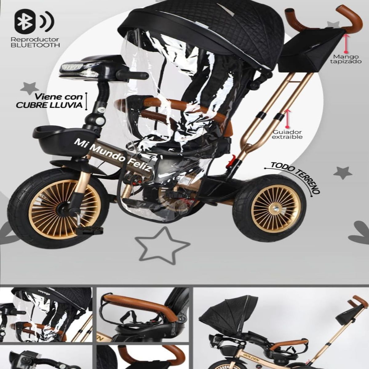 BABY - Triciclo para Niños Asiento Giratorio New Golden B