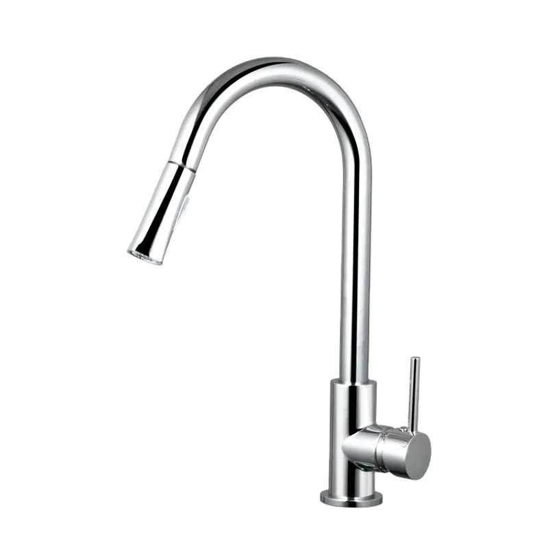 AGUA SANA - Grifo de cocina extensión monocomando de acero inoxidable