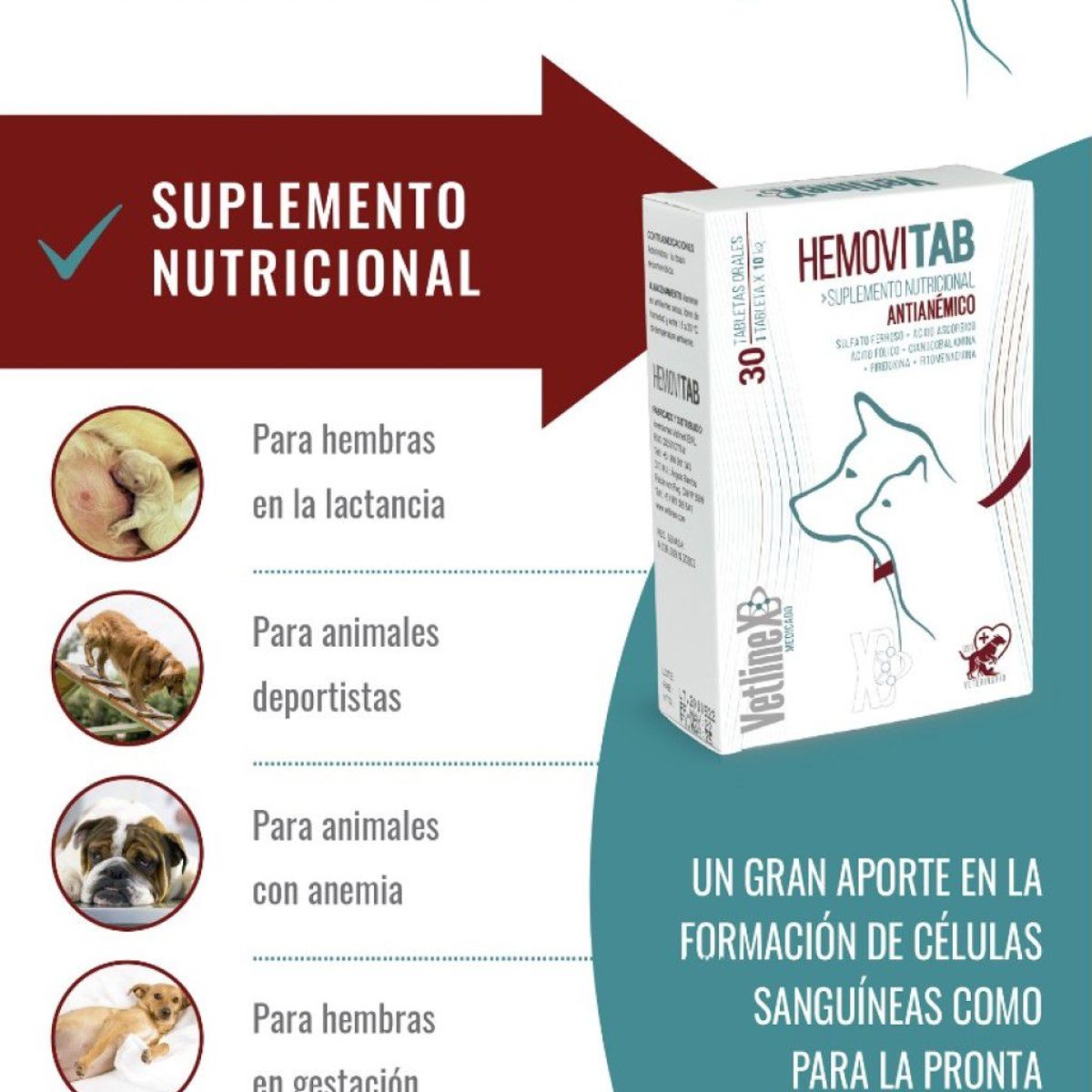 VETLINEX - SUPLEMENTO VITAMINICO HEMOVITAB