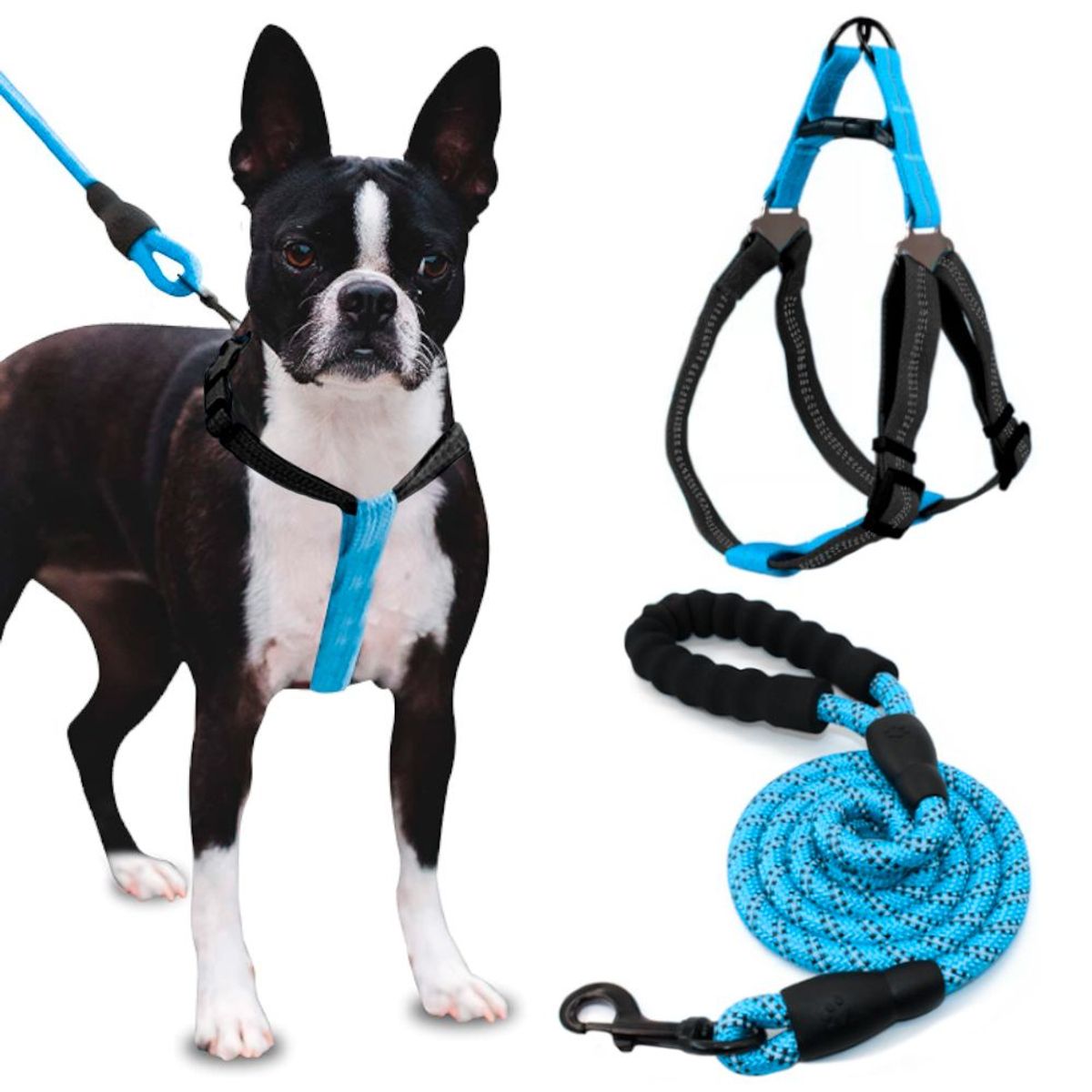 GENERICO - Arnés con Correa Reflectante Mango Acolchado Perros Celeste