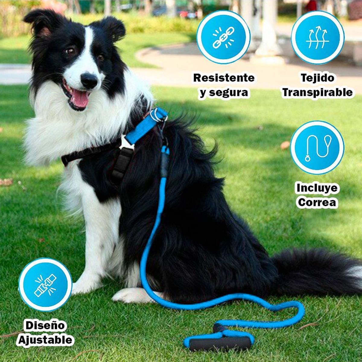 GENERICO - Arnés con Correa Reflectante Mango Acolchado Perros Celeste
